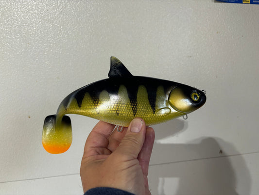 “Perch” CiscoShad